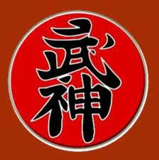 Capa: Baixar Faixa Preta Ninjutsu Ninja Curso Completo Download
