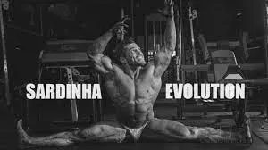 Capa: Baixe Sardinha Evolution: Domine SEO Técnico e Conversão Agora!