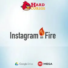 Capa: Baixar Insta on Fire: Domine Instagram com Vignali & Mongardi