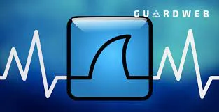 Capa: Wireshark: Baixar Curso Completo Fundamentos 2024