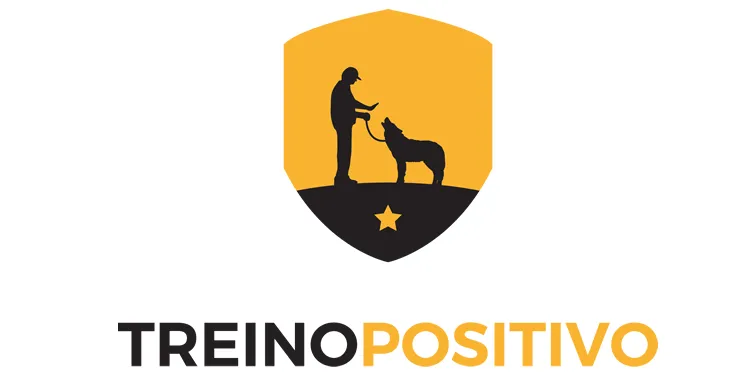 Capa: Treino Positivo 2.0: Baixar Curso Completo + Bônus Exclusivos!