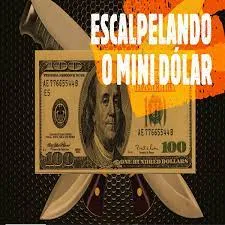 Capa: Curso Pio Trade: Baixe Agora o Mini Dólar Escalpelado!