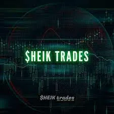 Capa: Sheik Traders Bad Boys 2020: Baixar Curso Completo + Conteúdo