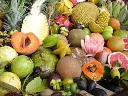 Capa: Baixar Curso Nutrição Essencial: Dra. Ana Silva Completo