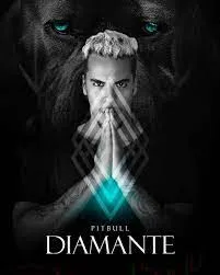 Capa: Curso Tom Freire Pitbull Diamante 2: Download Exclusivo para Você