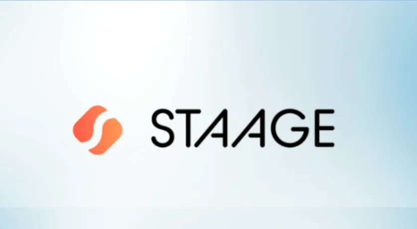 Capa: STAAGE Marketing para Todo Mundo: Baixar Completo
