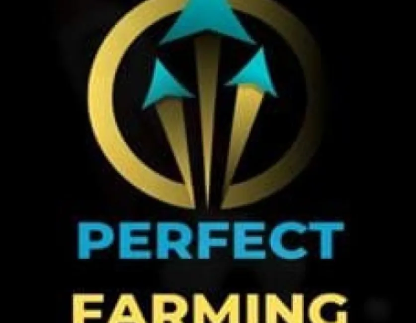 Capa: Download Perfeita Farming: Domine Criação de Perfis Facebook