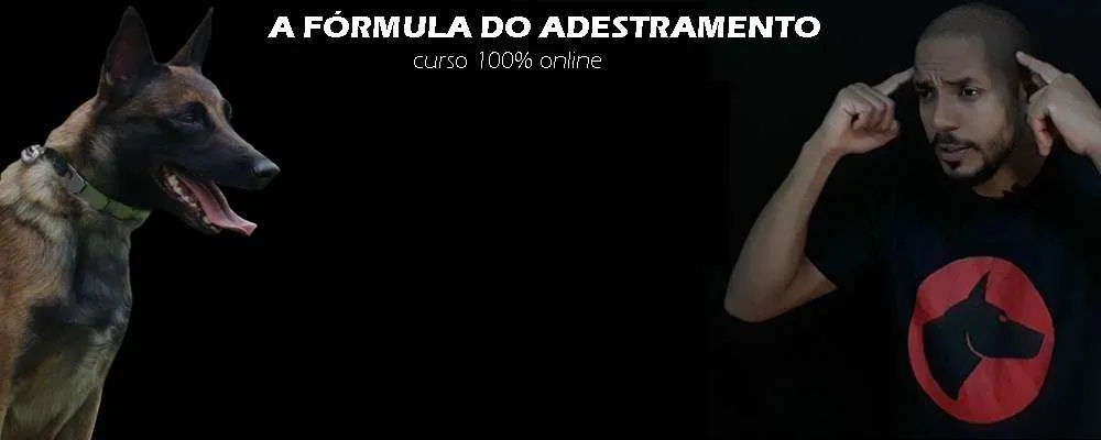 Capa: Download Fórmula Adestramento 2.0 Piloto: Baixe Já!