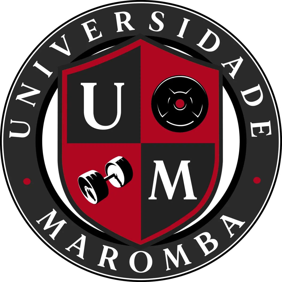Capa: Baixar Universidade Maromba: Rubens e Caio Bottura Completo