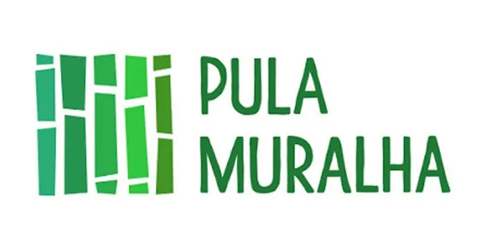 Capa: Curso Chinês Pula Muralha Download [Completo]
