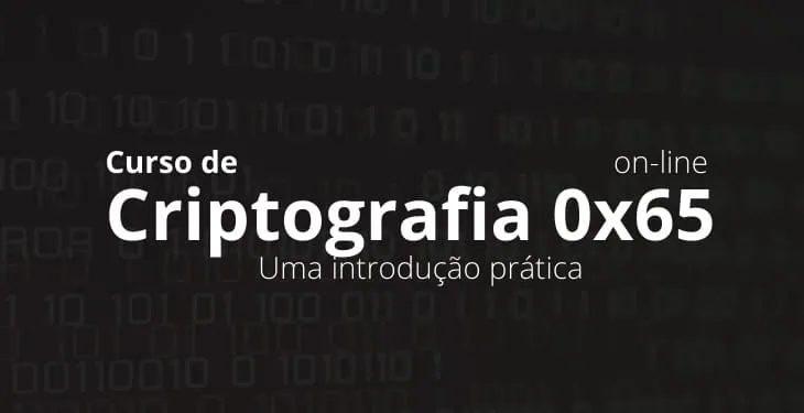 Capa: Baixar Criptografia 0x65 por Desec: Curso Completo Download Rápido