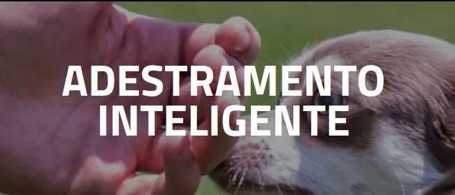 Capa: Adestramento Inteligente Alexandre Rossi: Baixe Agora!