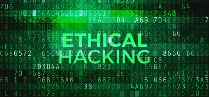 Capa: Python para Hackers Éticos: Baixar Curso Completo de Vitor Mazuco