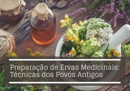 Capa: Baixar Curso Preparação de Ervas Medicinais Afonso Lopes