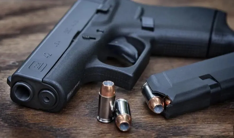 Capa: Baixar Curso Despachante Arma Venilton Serpa Completo + Suporte