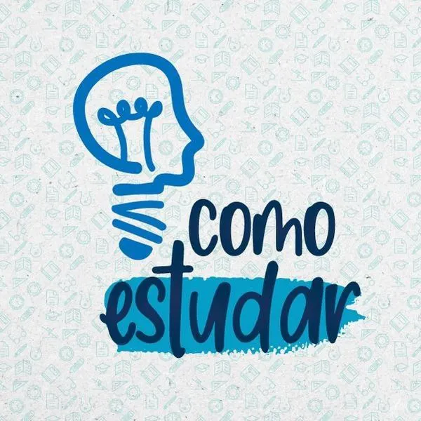 Capa: Baixar Curso Como Estudar Renata Peluso Completo (2024)